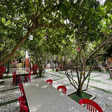 Red House Homestay - Villa 会安 外观 照片