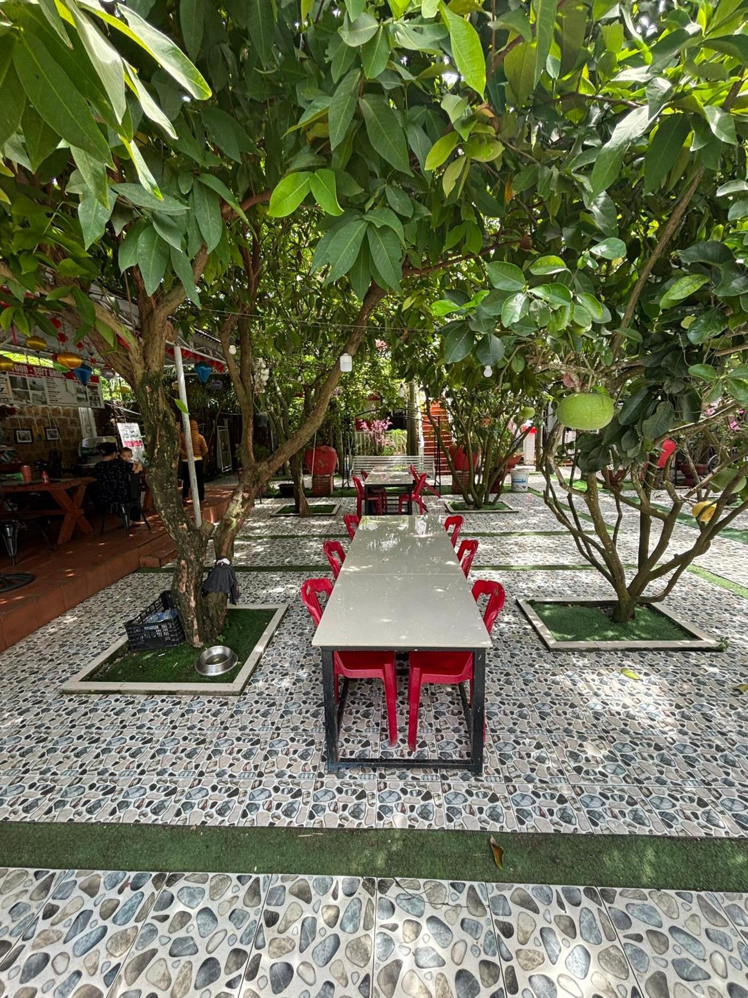 Red House Homestay - Villa 会安 外观 照片